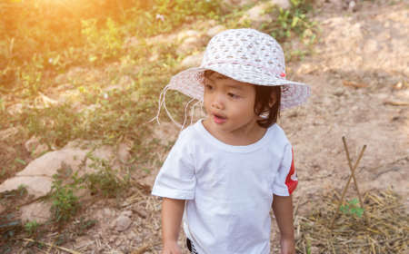 Lettuce of home gardenの写真素材