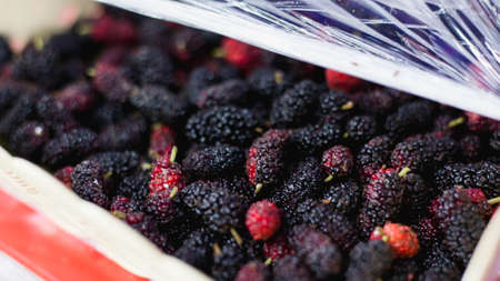 Fresh berriesの写真素材