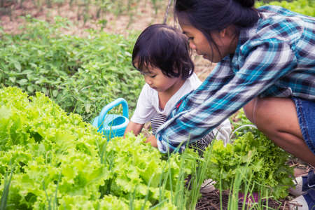 Watering the Vegetable Gardenの写真素材