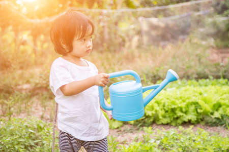 Watering the Vegetable Gardenの写真素材