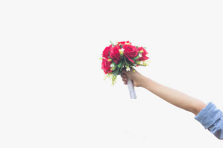 Freshly cut flowers in woman's handの写真素材
