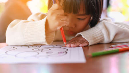 child girl draws with colored pencilsの写真素材