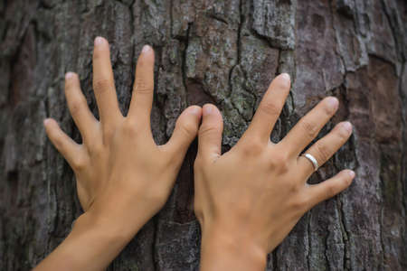 Tree bark with woman hand on itの写真素材