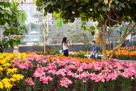 Close-up of colorful flowersの写真素材