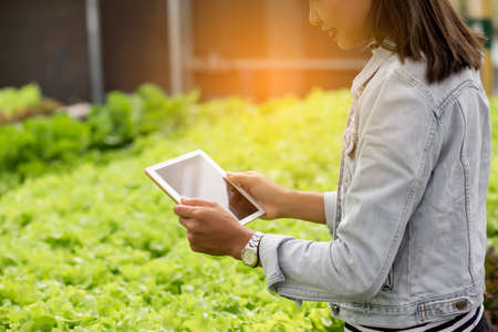 Non-toxic vegetable quality inspection technologyの写真素材
