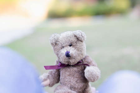 Cute teddy bear animal backgroundの写真素材