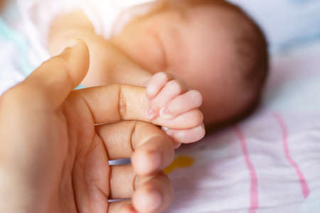 Small delicate little hand of newborn - close portrait