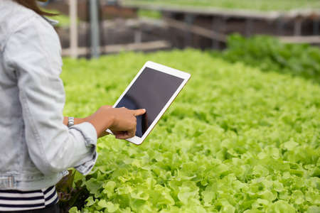 Non-toxic vegetable quality inspection technology
