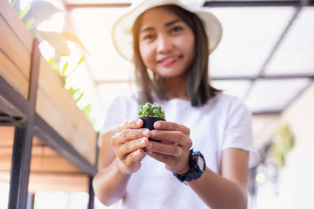 Beautiful Cactus, different cactus in gardenの写真素材