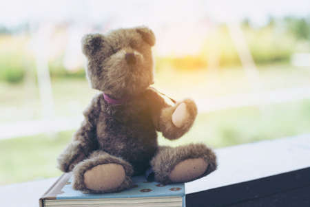 Lonely bear sitting in love faceの写真素材
