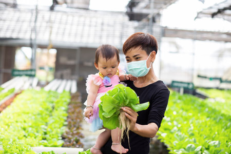 Mother and daughter keep vegetables safe in the garden.の写真素材