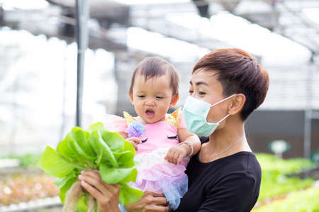 Mother and daughter keep vegetables safe in the garden.の写真素材