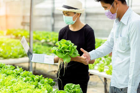 hands touching non toxic vegetablesの写真素材