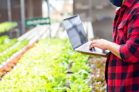 Organic radishes on farms that meet quality standardsの写真素材