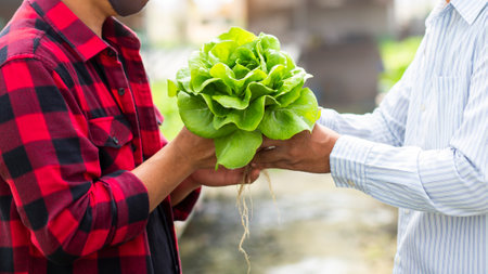 hands touching non toxic vegetables