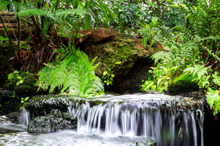 Waterfall in the forest. Beautiful waterfall in the tropical forest.