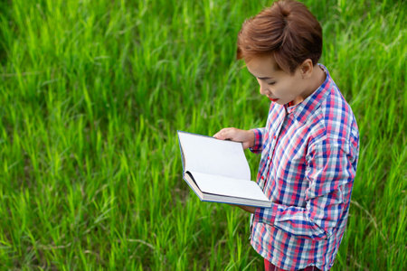 Happy woman lying on green grass reading a book in the park (outdoors)の写真素材