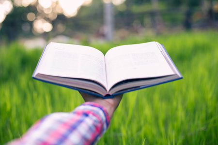 Happy woman lying on green grass reading a book in the park (outdoors)の写真素材