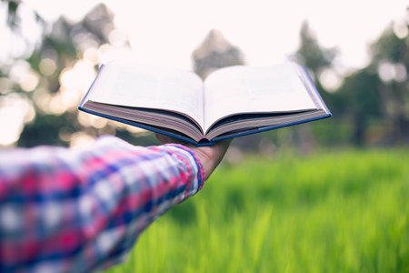 Happy woman lying on green grass reading a book in the park (outdoors)の写真素材