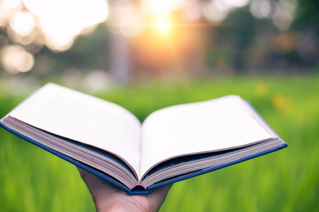 Happy woman lying on green grass reading a book in the park (outdoors)の写真素材