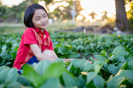 Girls garden and dig up the soil to grow vegetablesの写真素材