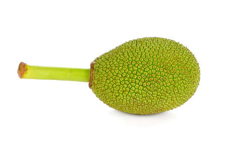 Jackfruit isolated on white background
