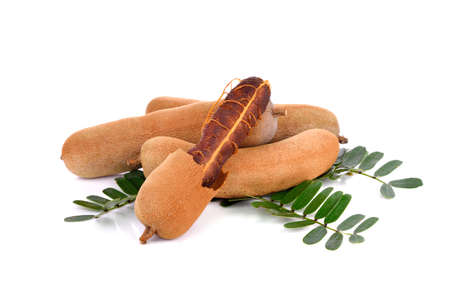 Tamarind isolated on white backgroundの写真素材