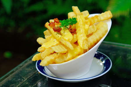 French fries with cheese