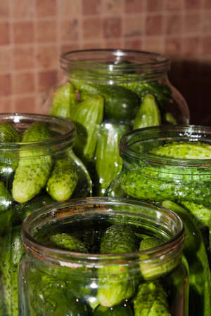 Pickles in an open potの写真素材