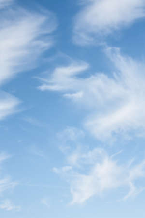 Photo of the sky on a sunny day