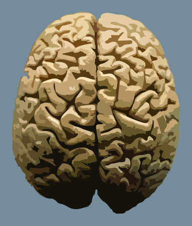 Trace brain on blue background