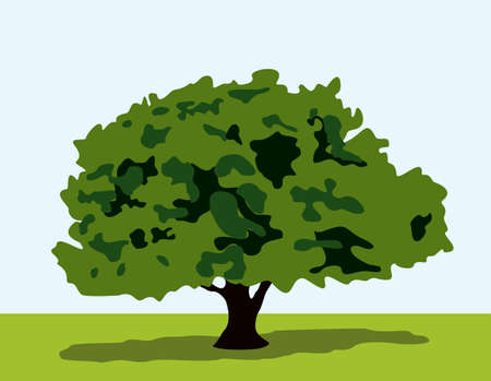 Tree with shadows on grassのイラスト素材