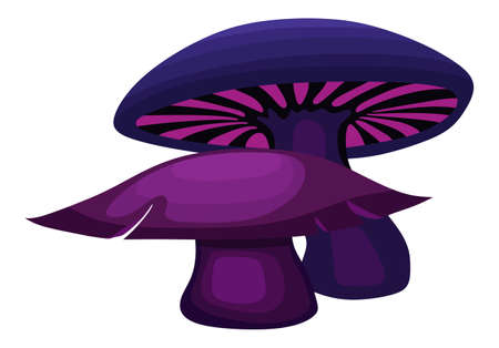 Two purple mushroom on a white backgroundのイラスト素材