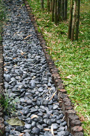 pebbled footpath line with tree stumpsの写真素材