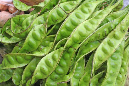 stink beans which are tranditional fare in asiaの写真素材