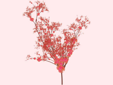 pretty sakura tree branch filled with flowersの写真素材