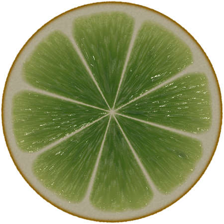 illustration of a slice of citrus fruitの写真素材