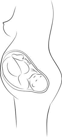 Baby is Growing and Developing の写真素材