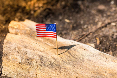 Tooth pick with small flag on wooden with nature backgroundの写真素材