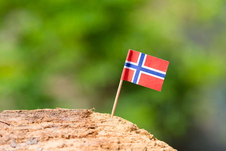 Tooth pick with small flag on wooden with nature backgroundの写真素材