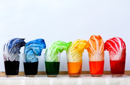 The Rainbow Vegetables , Lettuce rainbow magicの写真素材