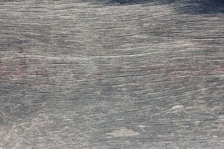 Wood texture backgroundの写真素材