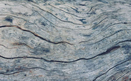 Wood texture backgroundの写真素材