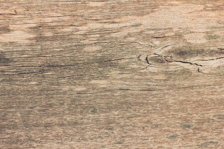 Wood texture backgroundの写真素材