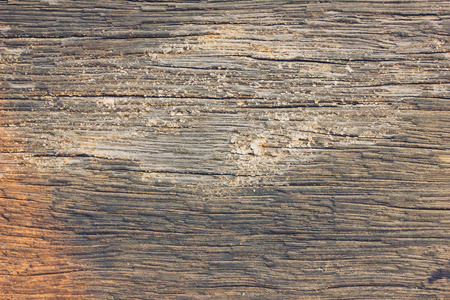 Wood texture backgroundの写真素材