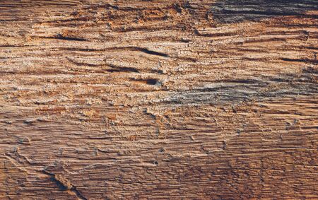 Wood texture backgroundの写真素材