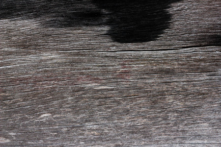 Wood texture backgroundの写真素材