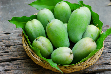 Mangoes,Fresh mangoes in basket , Asia ,Thailandの写真素材