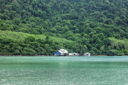 Tree and lake corner , Koh Kood Island , Thailandの写真素材