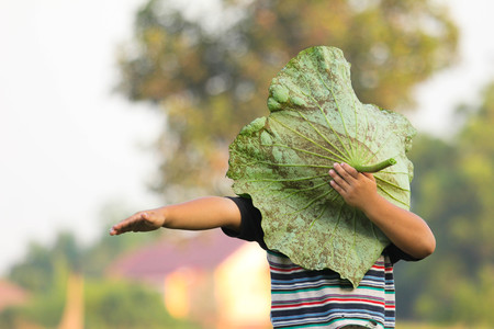 Little boy playing lotus leaf, Asian baby face off lotus leaf at countryside in Thailand.の写真素材